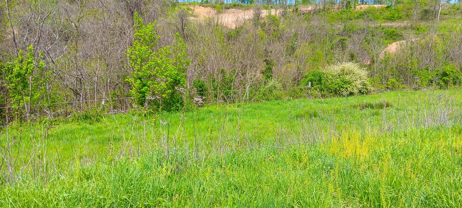 25 Garland Creek Road #CROWN WILDLIFE TRACT 5, Crown City, Ohio image 12