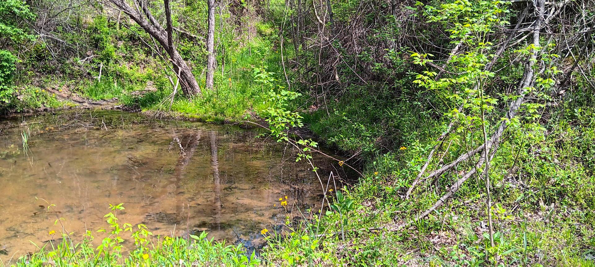 25 Garland Creek Road #CROWN WILDLIFE TRACT 5, Crown City, Ohio image 28