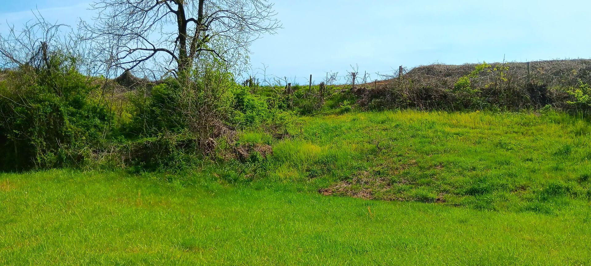 25 Garland Creek Road #CROWN WILDLIFE TRACT 5, Crown City, Ohio image 10