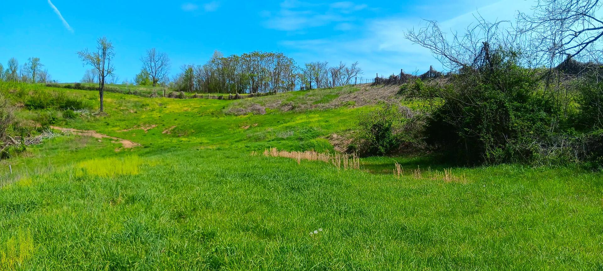 25 Garland Creek Road #CROWN WILDLIFE TRACT 5, Crown City, Ohio image 9