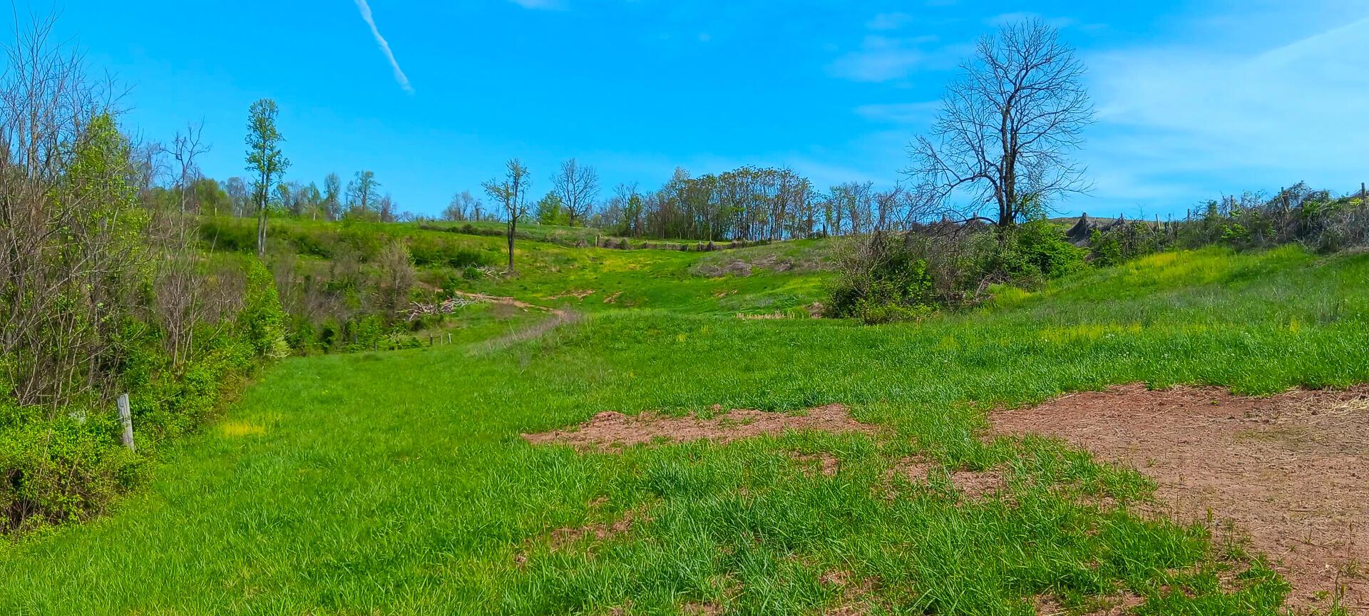 25 Garland Creek Road #CROWN WILDLIFE TRACT 5, Crown City, Ohio image 15