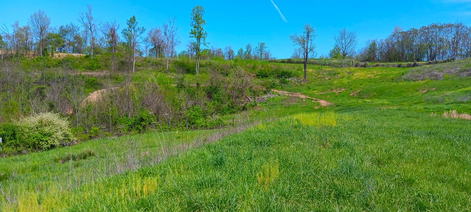 25 Garland Creek Road #CROWN WILDLIFE TRACT 5, Crown City, Ohio image 11