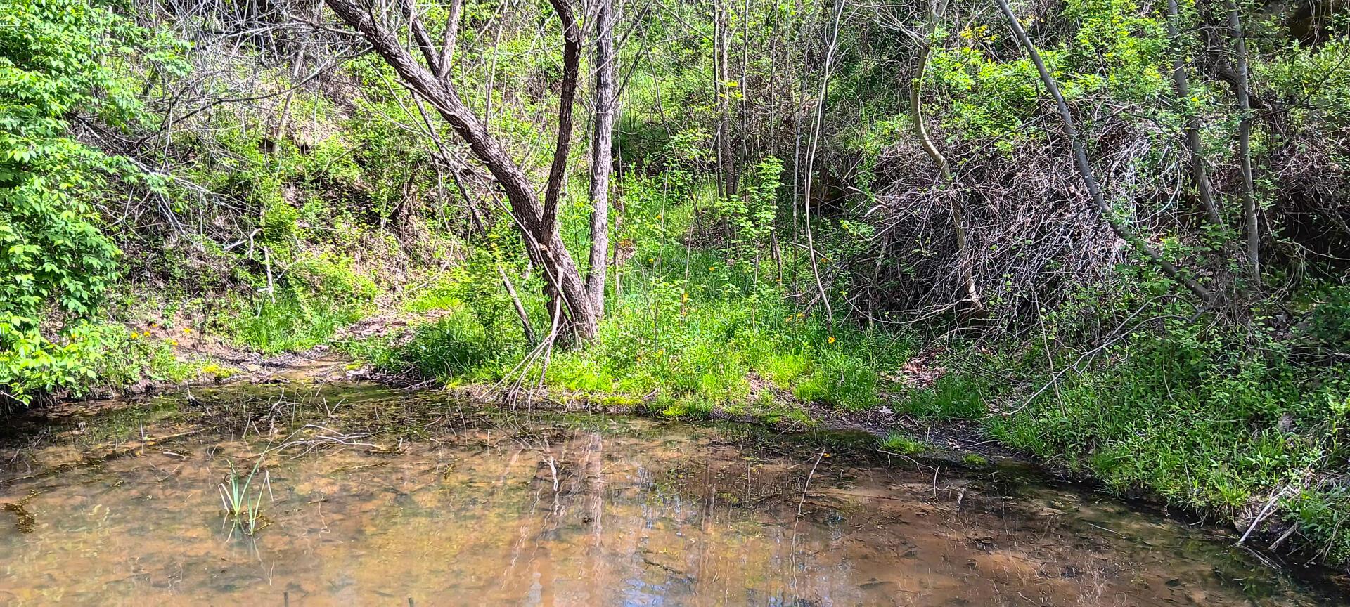 25 Garland Creek Road #CROWN WILDLIFE TRACT 5, Crown City, Ohio image 29