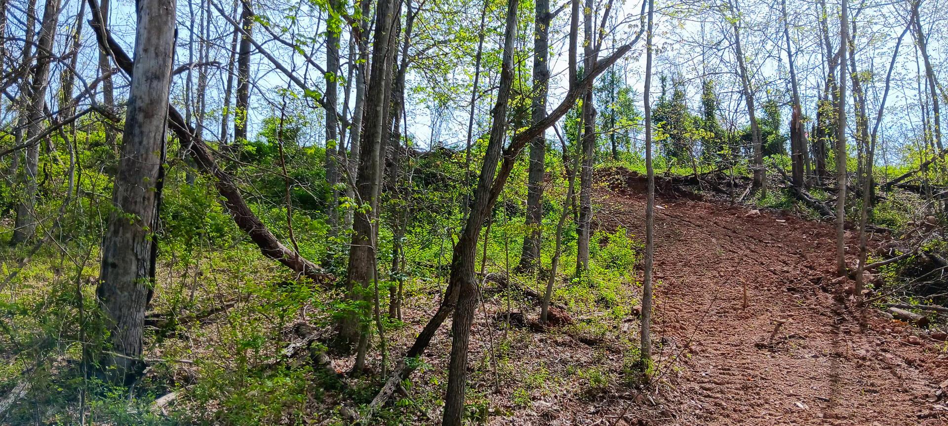 25 Garland Creek Road #CROWN WILDLIFE TRACT 5, Crown City, Ohio image 22