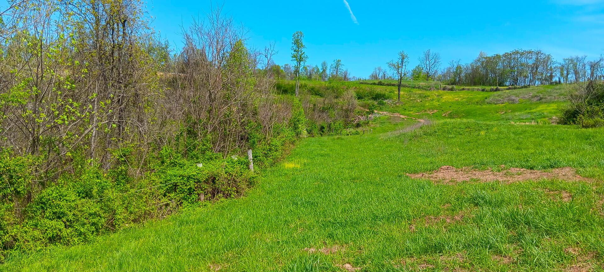 25 Garland Creek Road #CROWN WILDLIFE TRACT 5, Crown City, Ohio image 16