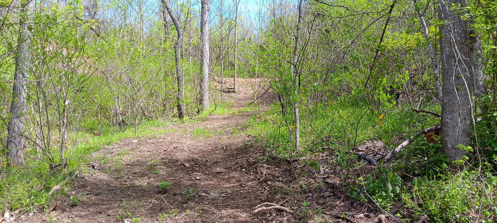 25 Garland Creek Road #CROWN WILDLIFE TRACT 5, Crown City, Ohio image 27