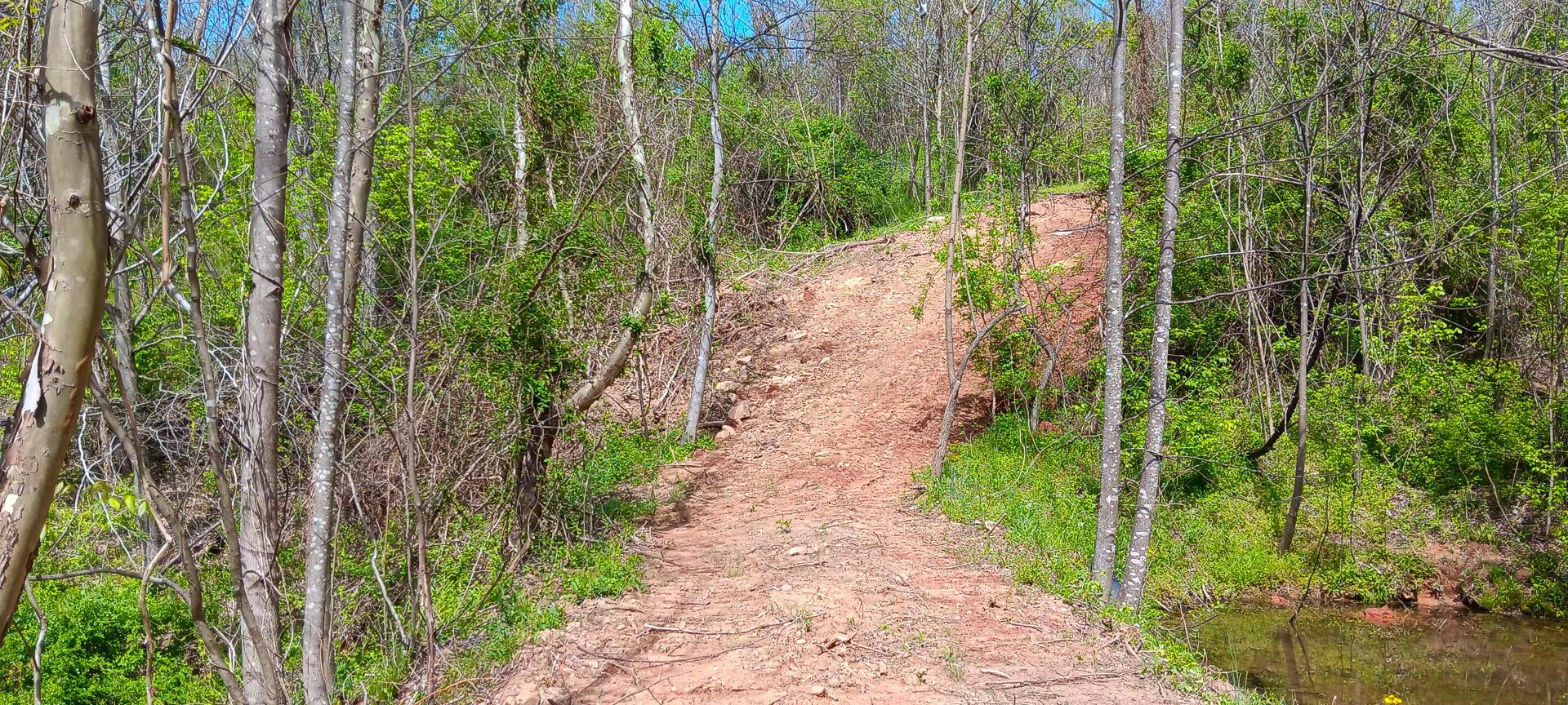 25 Garland Creek Road #CROWN WILDLIFE TRACT 5, Crown City, Ohio image 34