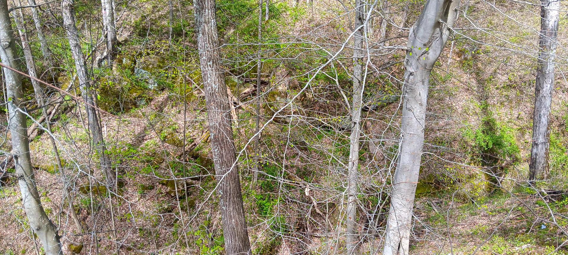 25 Garland Creek Road #CROWN WILDLIFE TRACT 5, Crown City, Ohio image 24