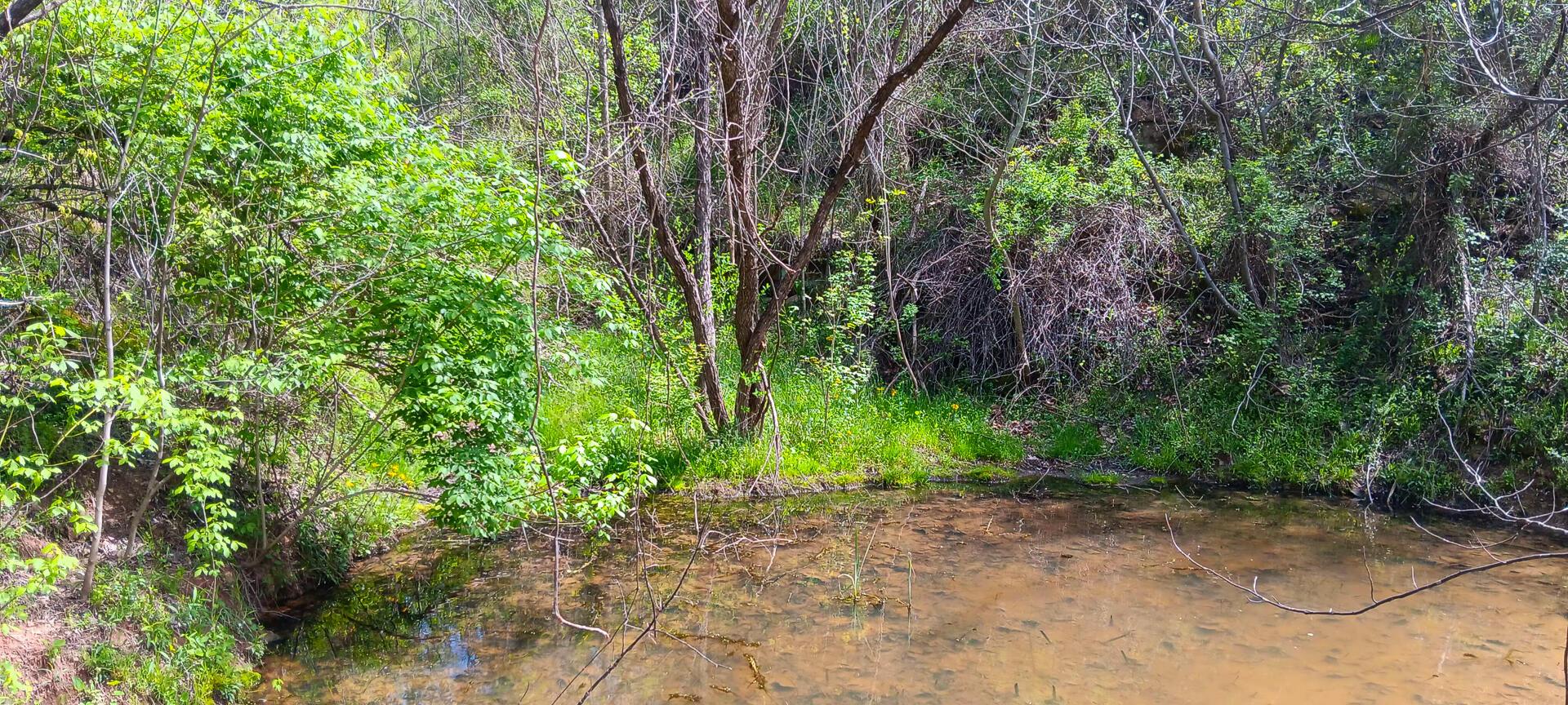 25 Garland Creek Road #CROWN WILDLIFE TRACT 5, Crown City, Ohio image 30