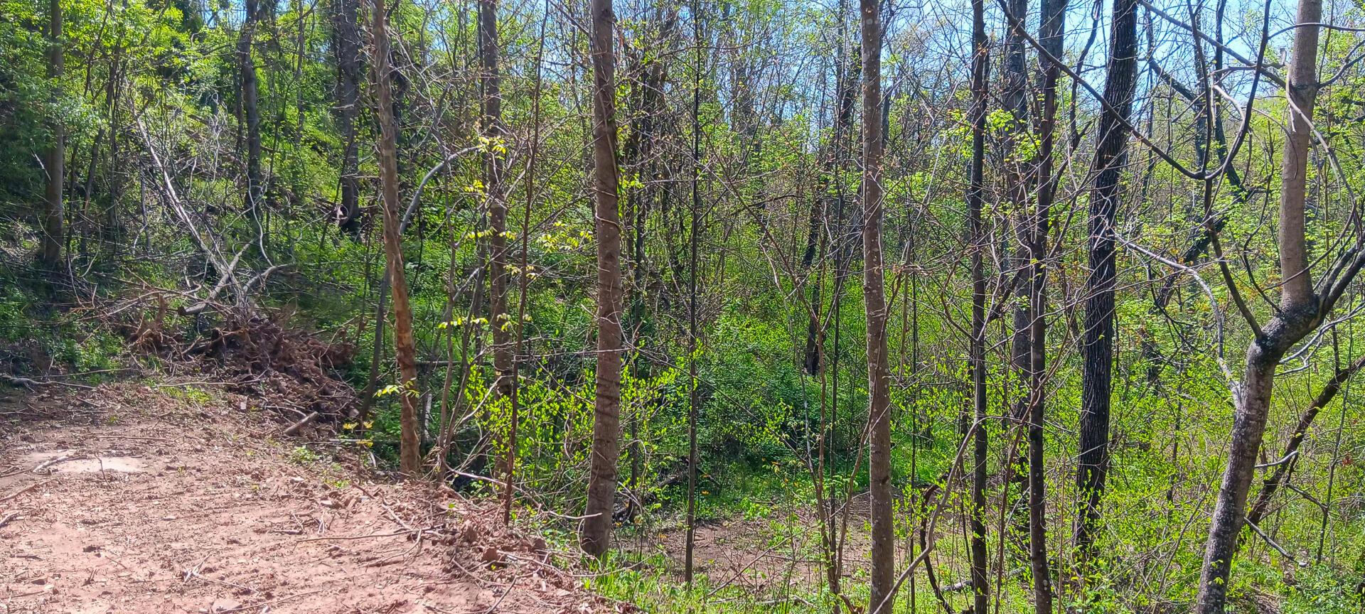 25 Garland Creek Road #CROWN WILDLIFE TRACT 5, Crown City, Ohio image 32
