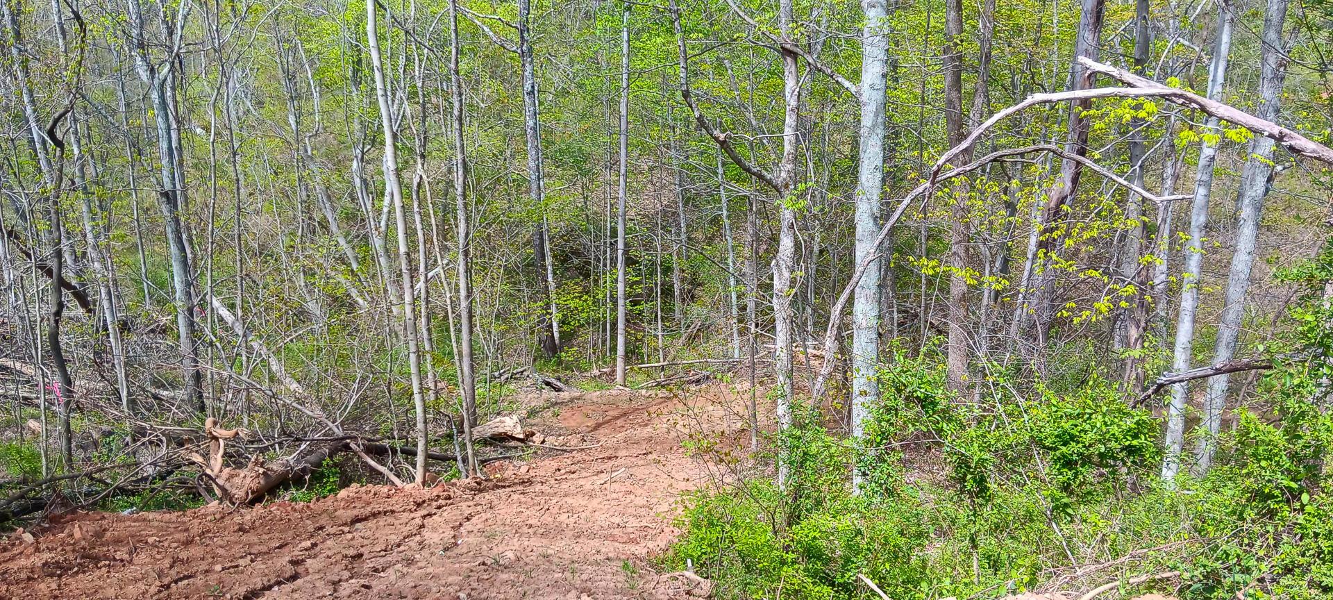 25 Garland Creek Road #CROWN WILDLIFE TRACT 5, Crown City, Ohio image 18