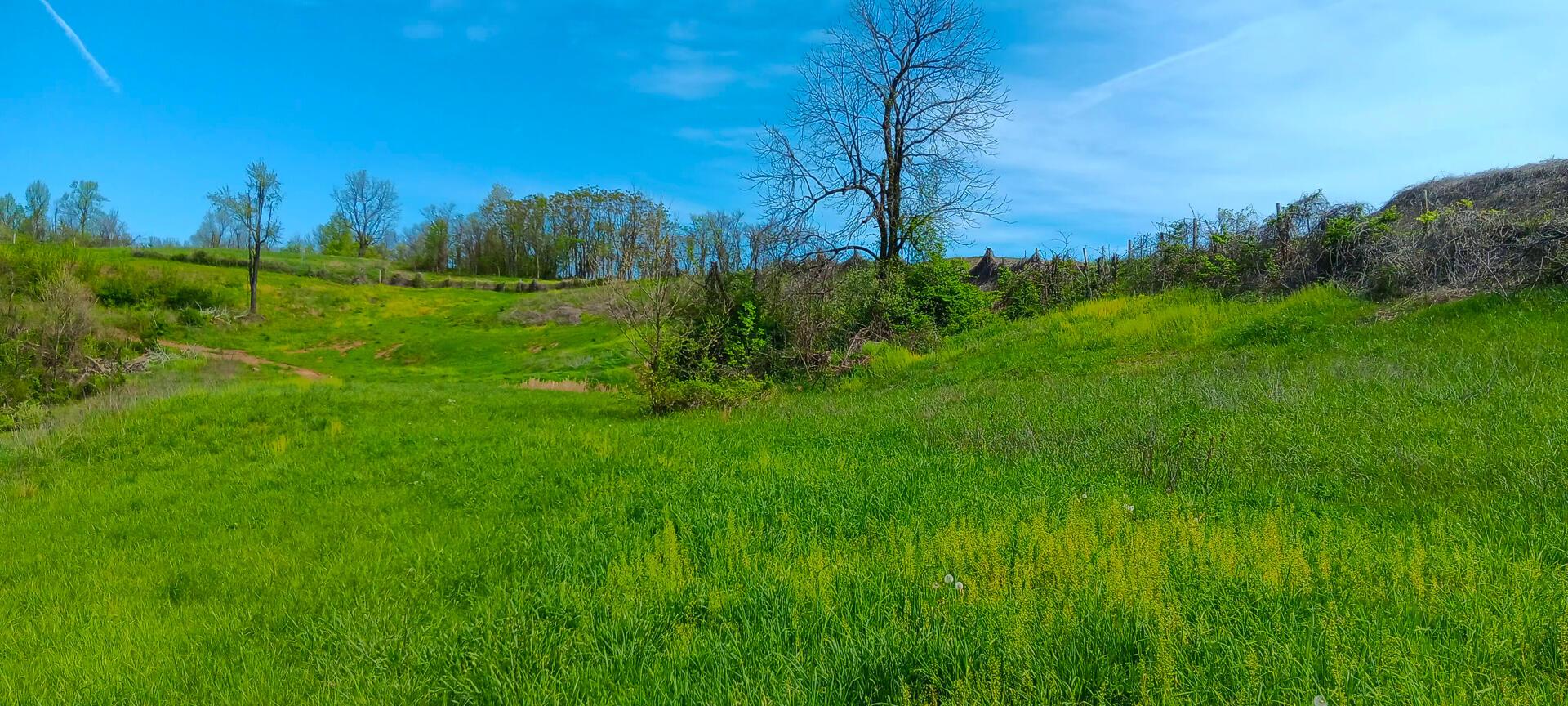 25 Garland Creek Road #CROWN WILDLIFE TRACT 5, Crown City, Ohio image 6