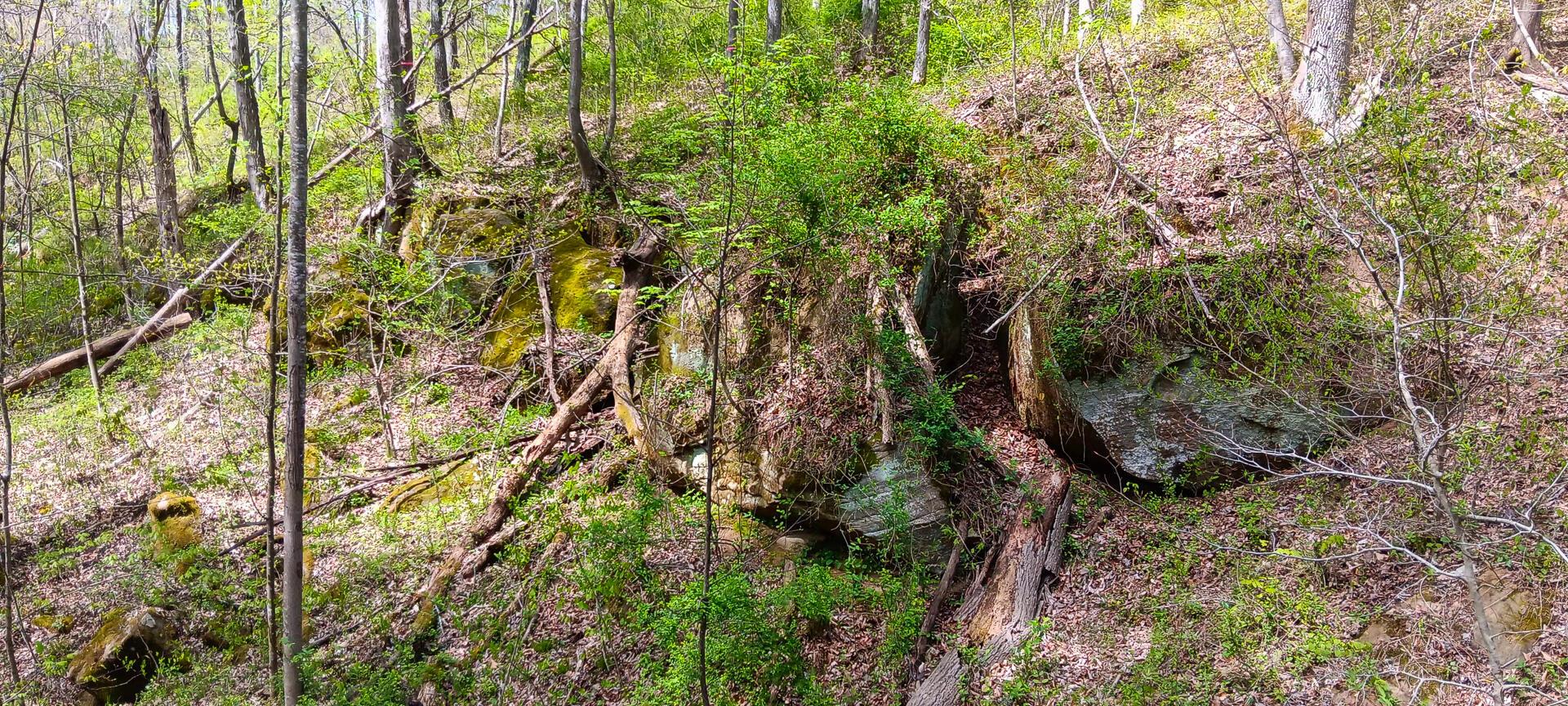 25 Garland Creek Road #CROWN WILDLIFE TRACT 5, Crown City, Ohio image 40