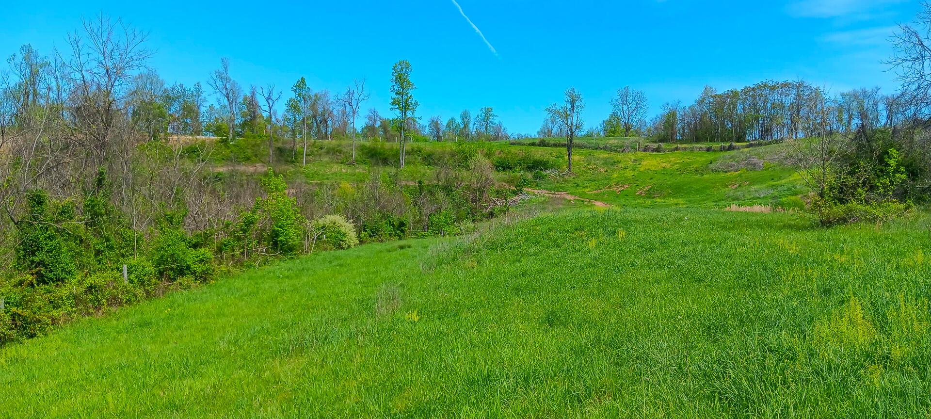25 Garland Creek Road #CROWN WILDLIFE TRACT 5, Crown City, Ohio image 7