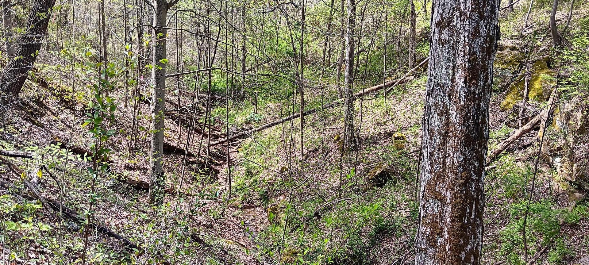 25 Garland Creek Road #CROWN WILDLIFE TRACT 5, Crown City, Ohio image 39