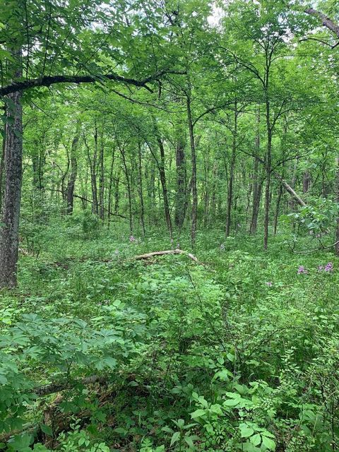 Tiny photo for 8605 Mt Vernon Road, Saint Louisville, OH 43071 (MLS # 226017607)