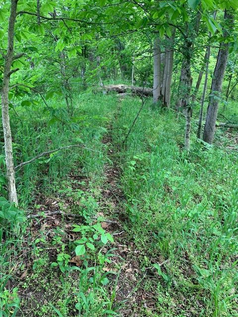 Tiny photo for 8605 Mt Vernon Road, Saint Louisville, OH 43071 (MLS # 226017607)