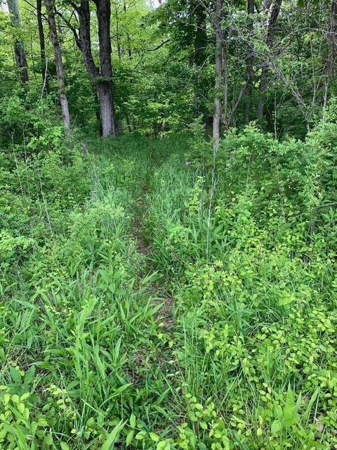 Tiny photo for 8605 Mt Vernon Road, Saint Louisville, OH 43071 (MLS # 226017607)