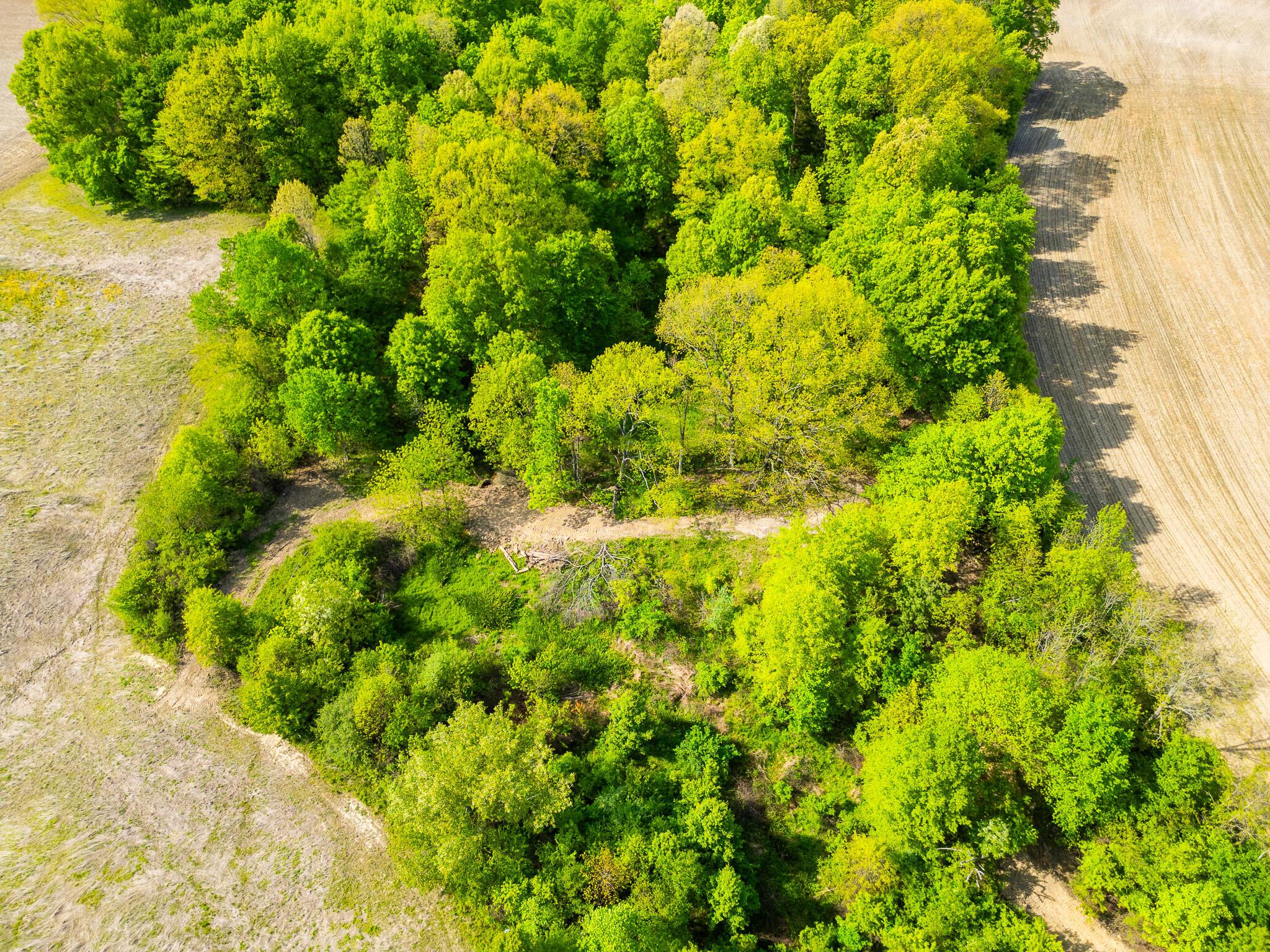 5123 Schoolhouse Road