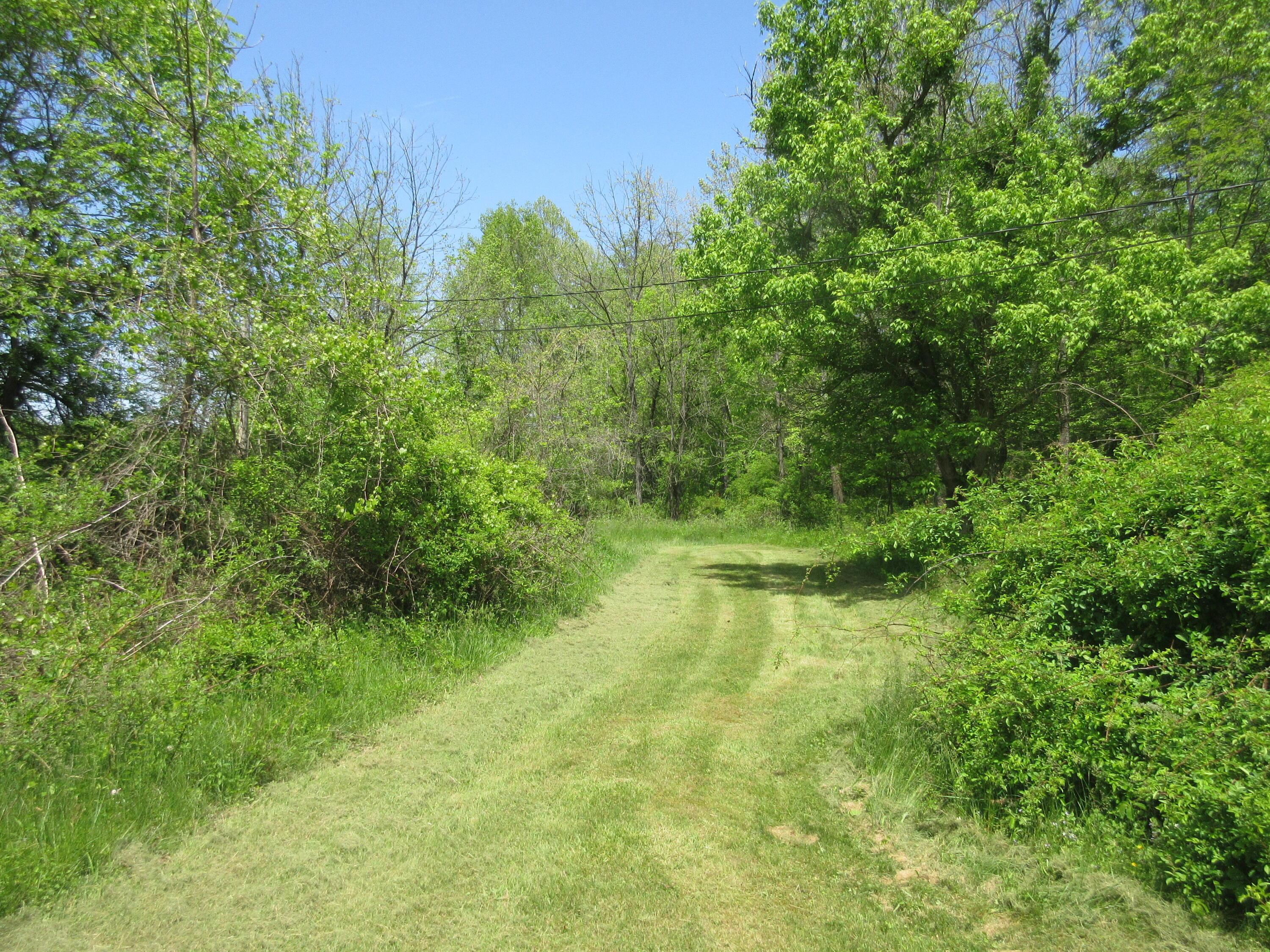 6800 Center Road, Philo, Ohio image 27