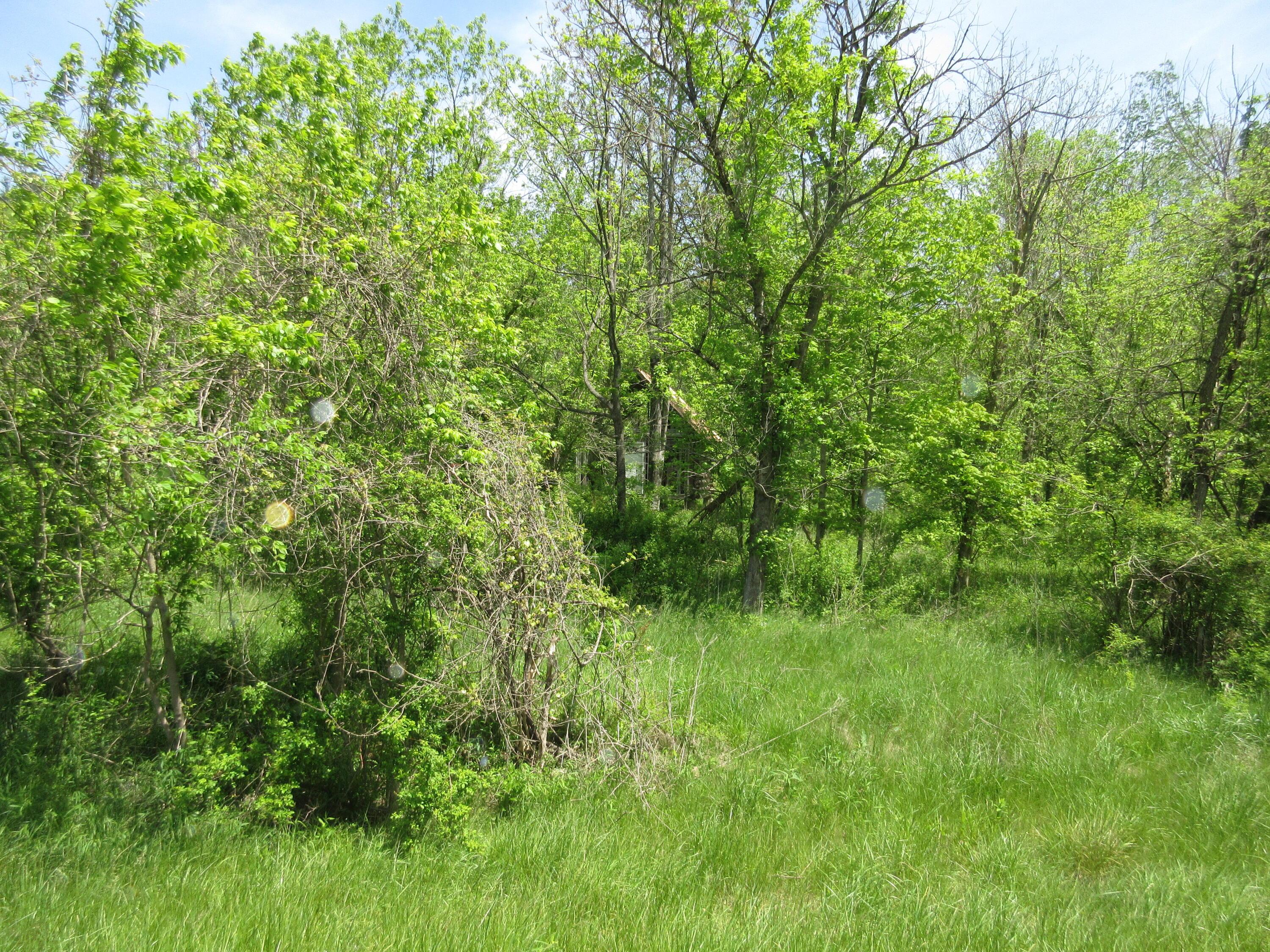 6800 Center Road, Philo, Ohio image 23