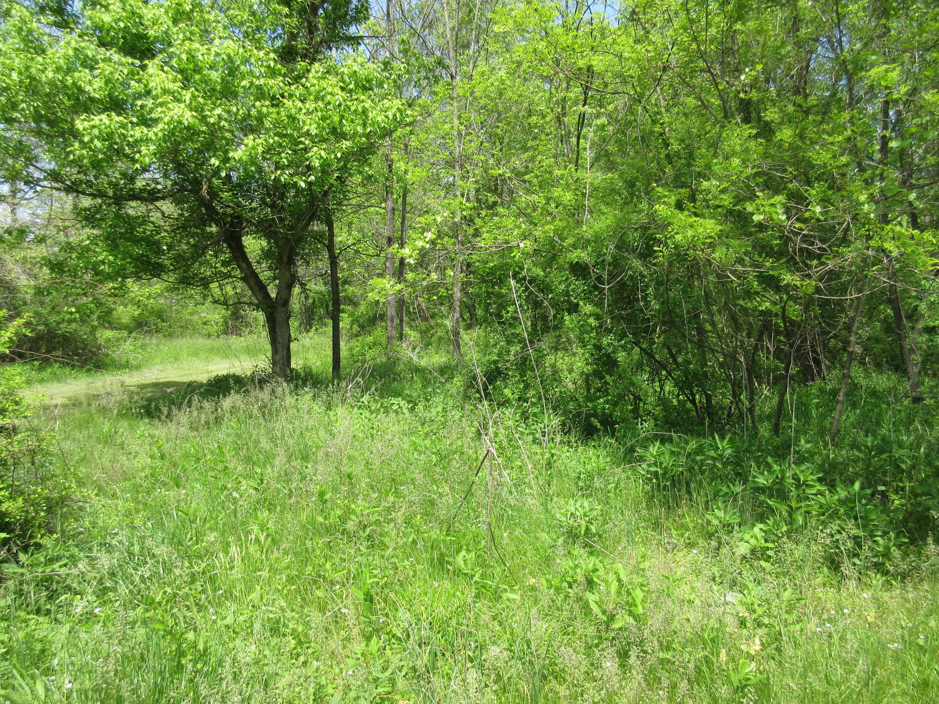 6800 Center Road, Philo, Ohio image 28