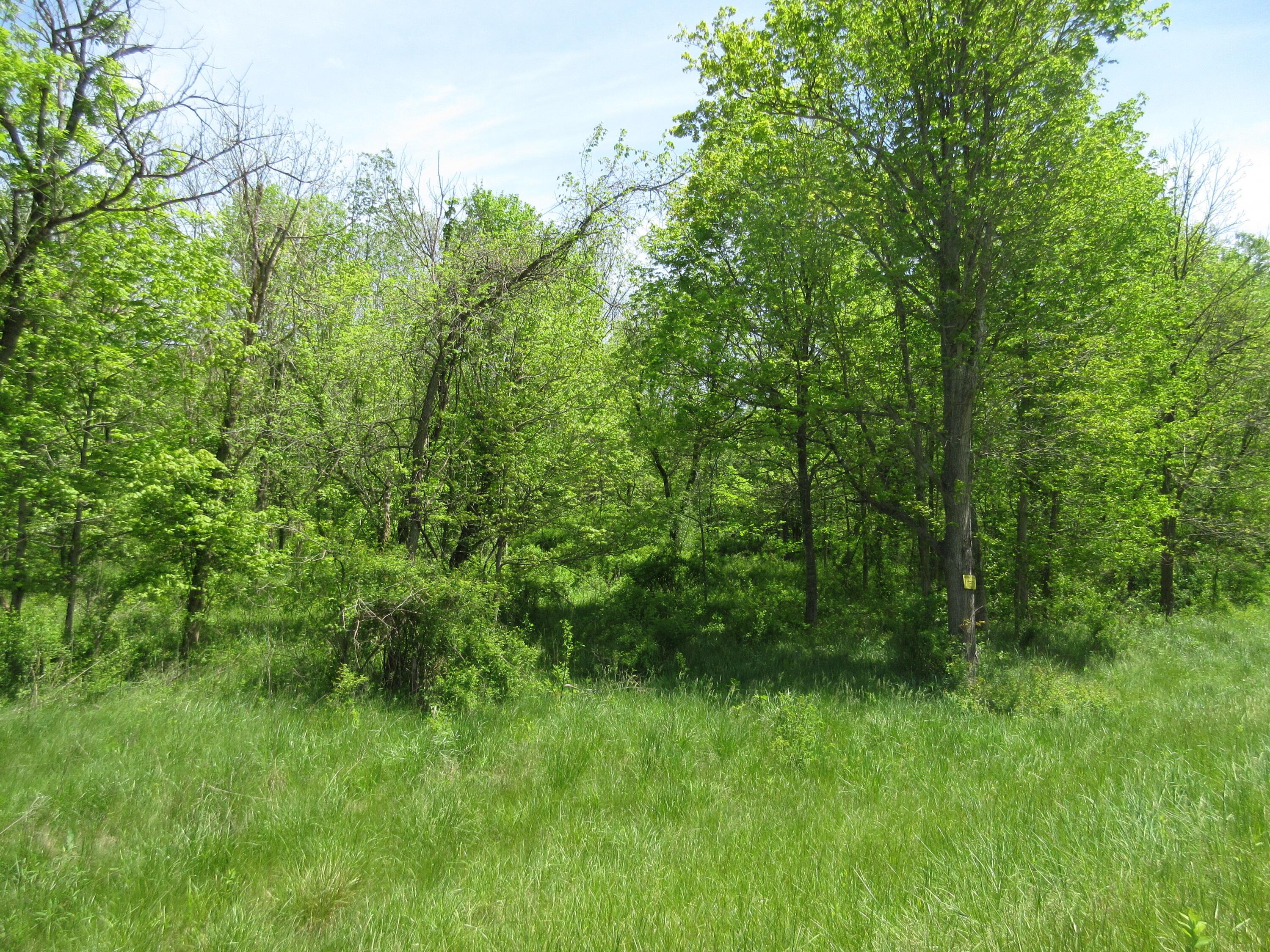 6800 Center Road, Philo, Ohio image 24