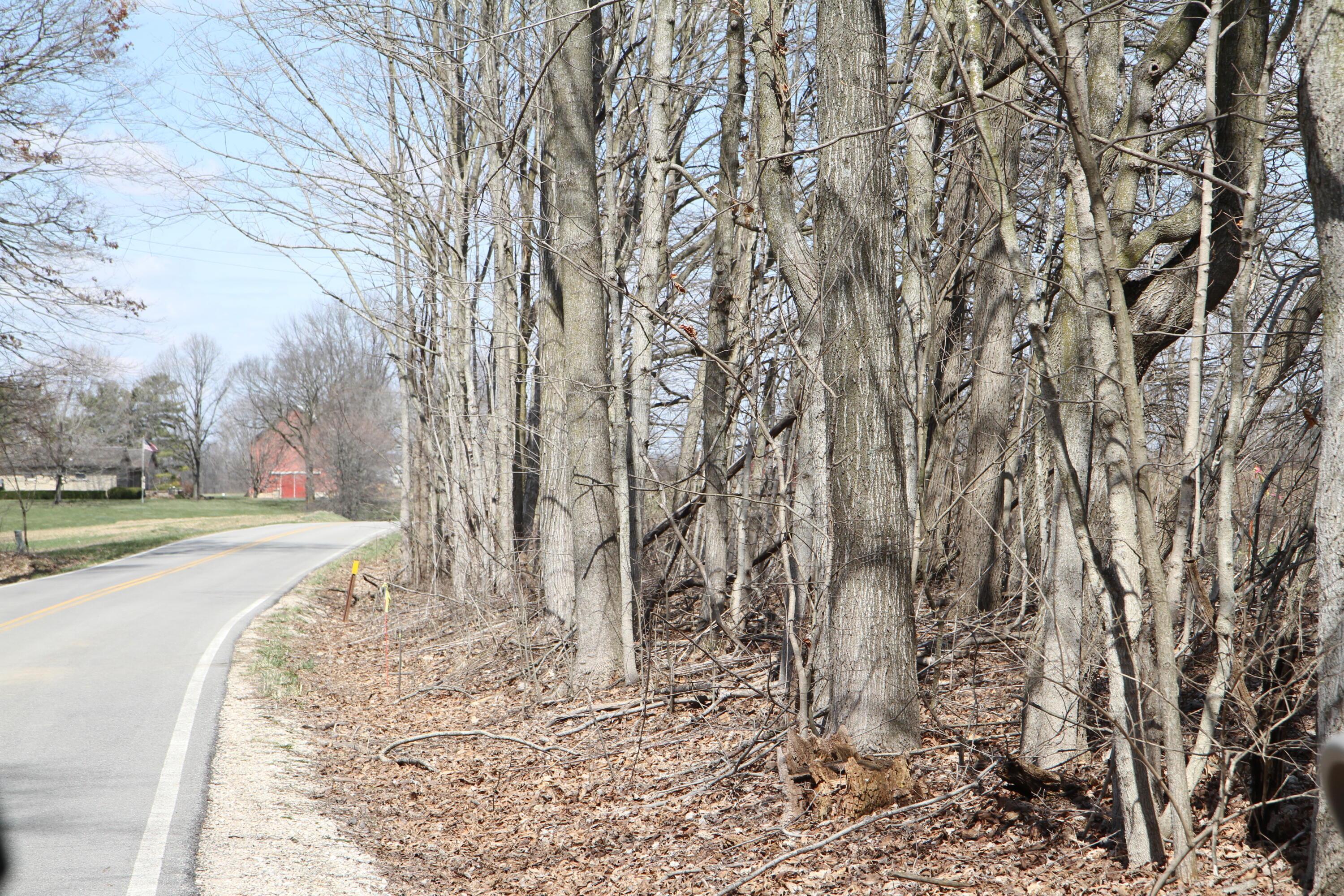 River Road, Ostrander, Ohio image 7