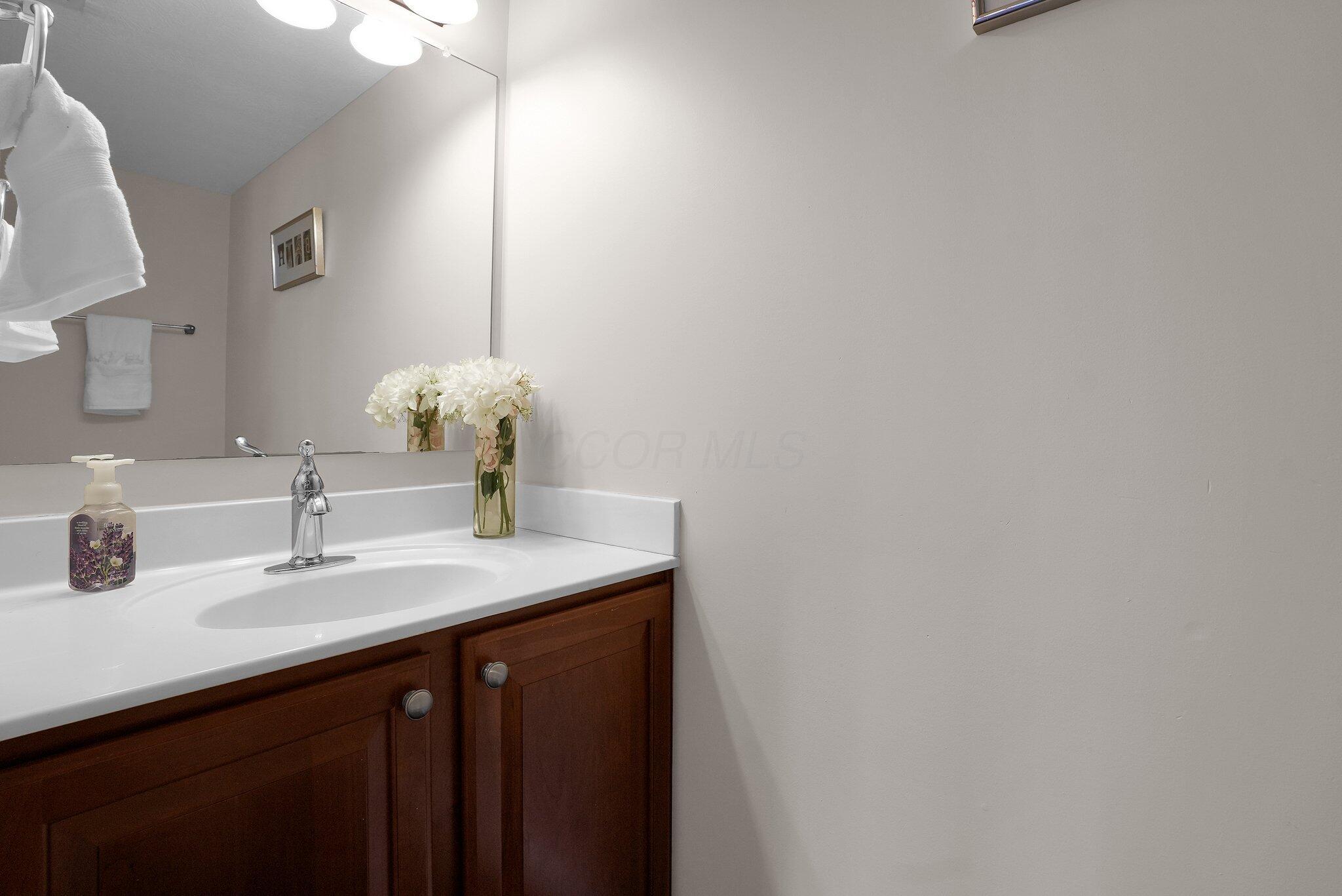 3407 Mccammon Estates Drive, Lewis Center, Ohio image 23
