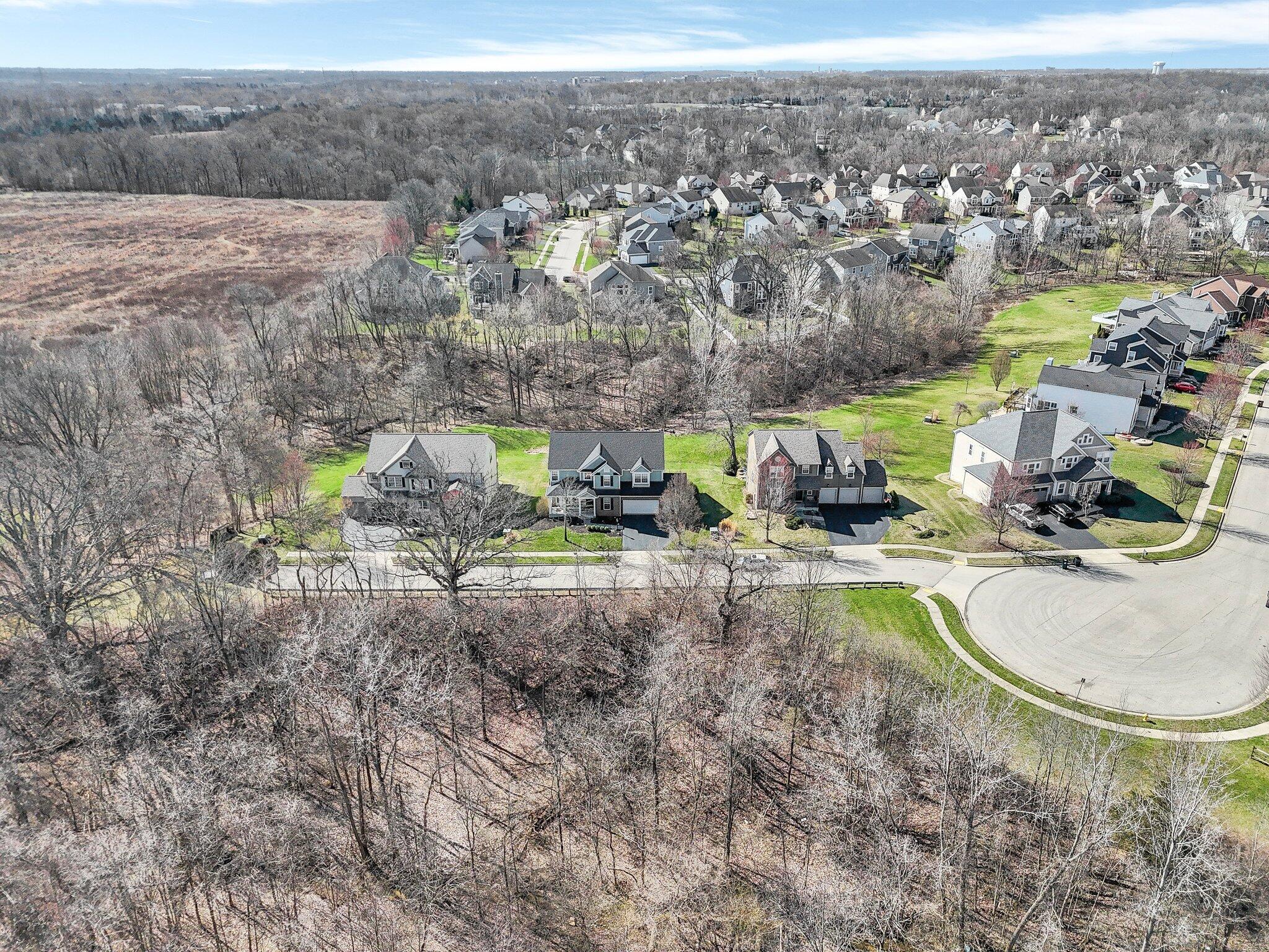 3407 Mccammon Estates Drive, Lewis Center, Ohio image 44