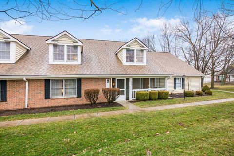Photo of 266 Black Walnut Drive, Westerville, OH 43082 (MLS # 226006345)