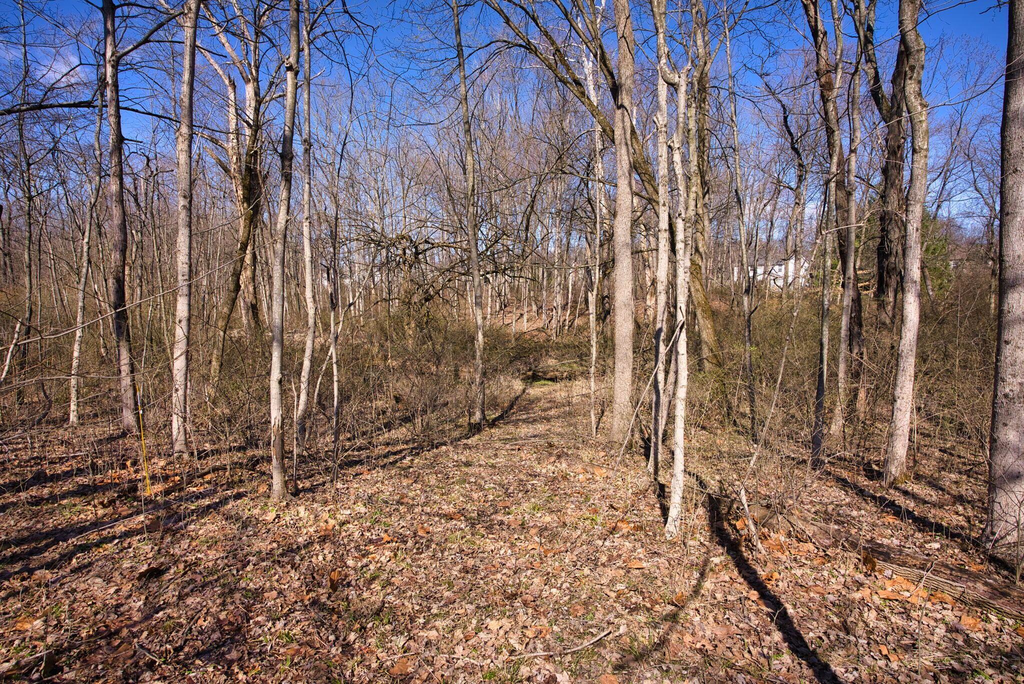 2952 Colts Neck Road, Blacklick, Ohio image 10