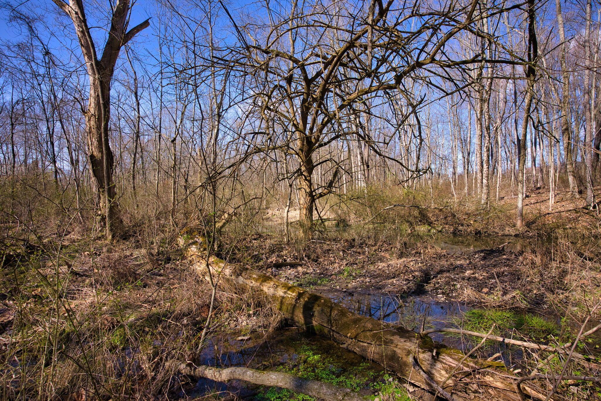 2952 Colts Neck Road, Blacklick, Ohio image 15
