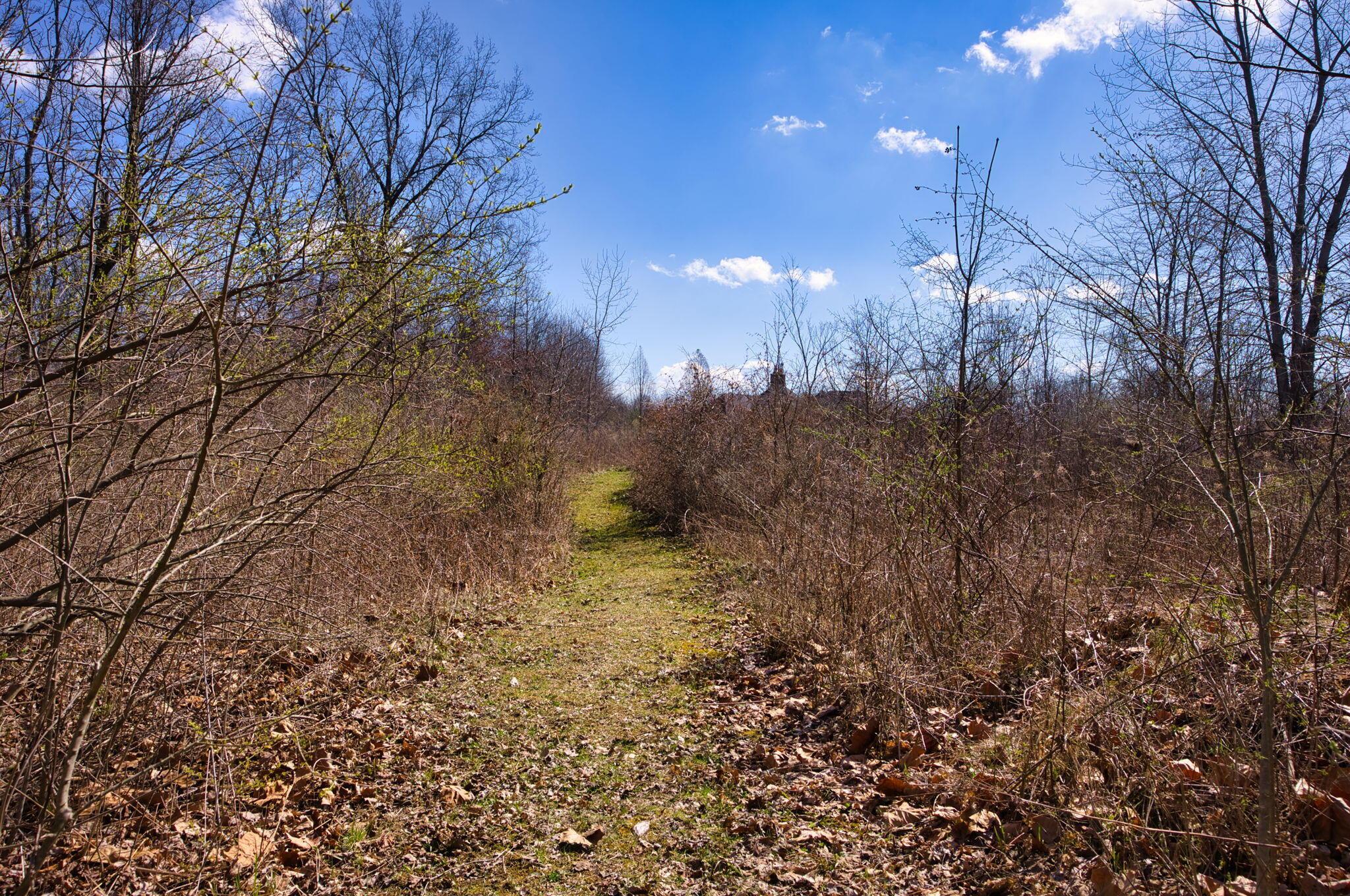 2952 Colts Neck Road, Blacklick, Ohio image 19