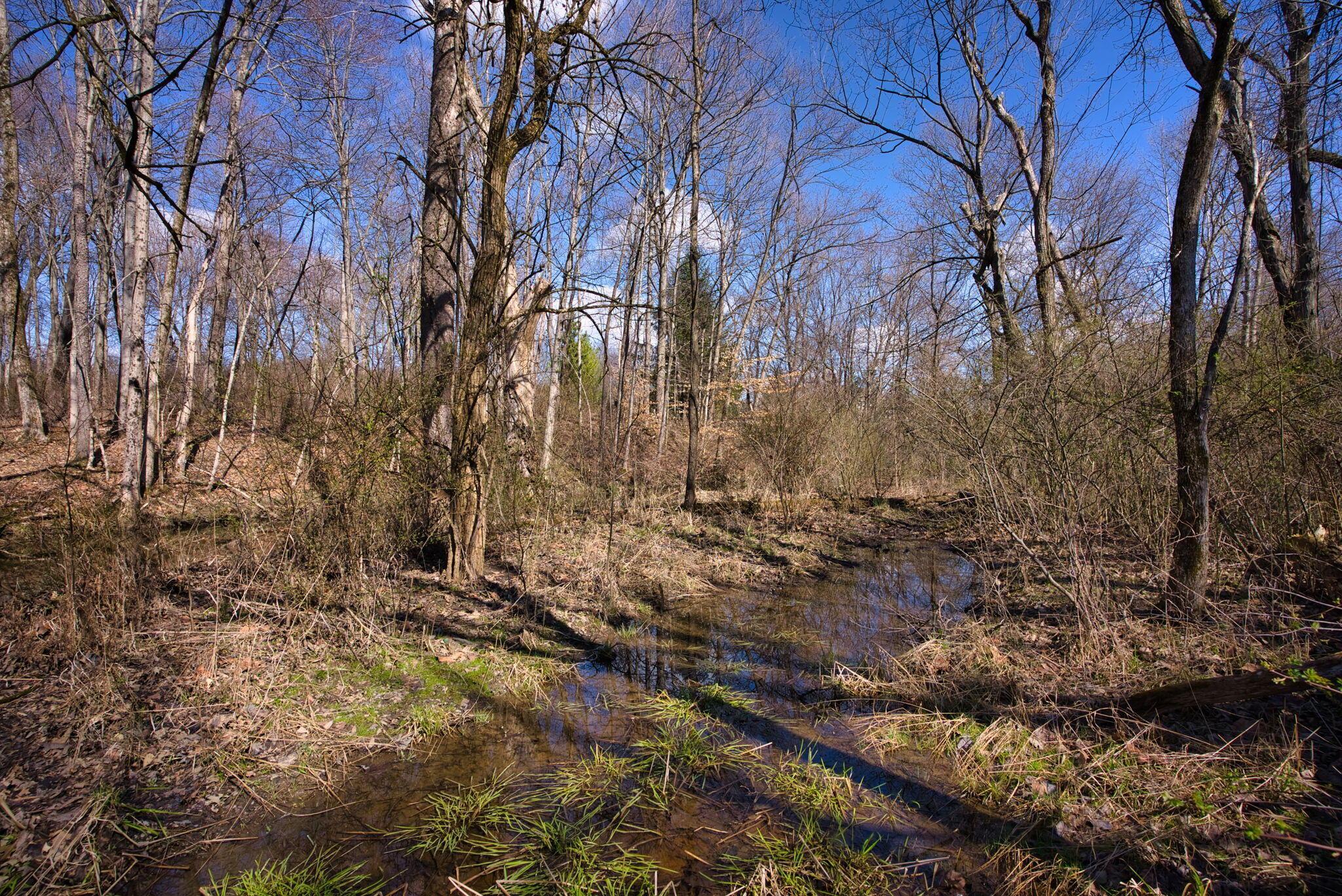 2952 Colts Neck Road, Blacklick, Ohio image 13