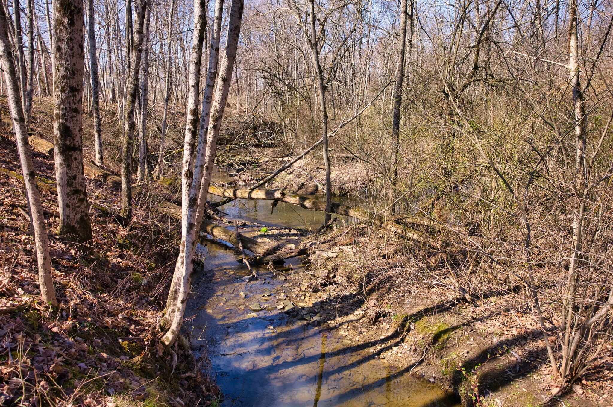 2952 Colts Neck Road, Blacklick, Ohio image 17