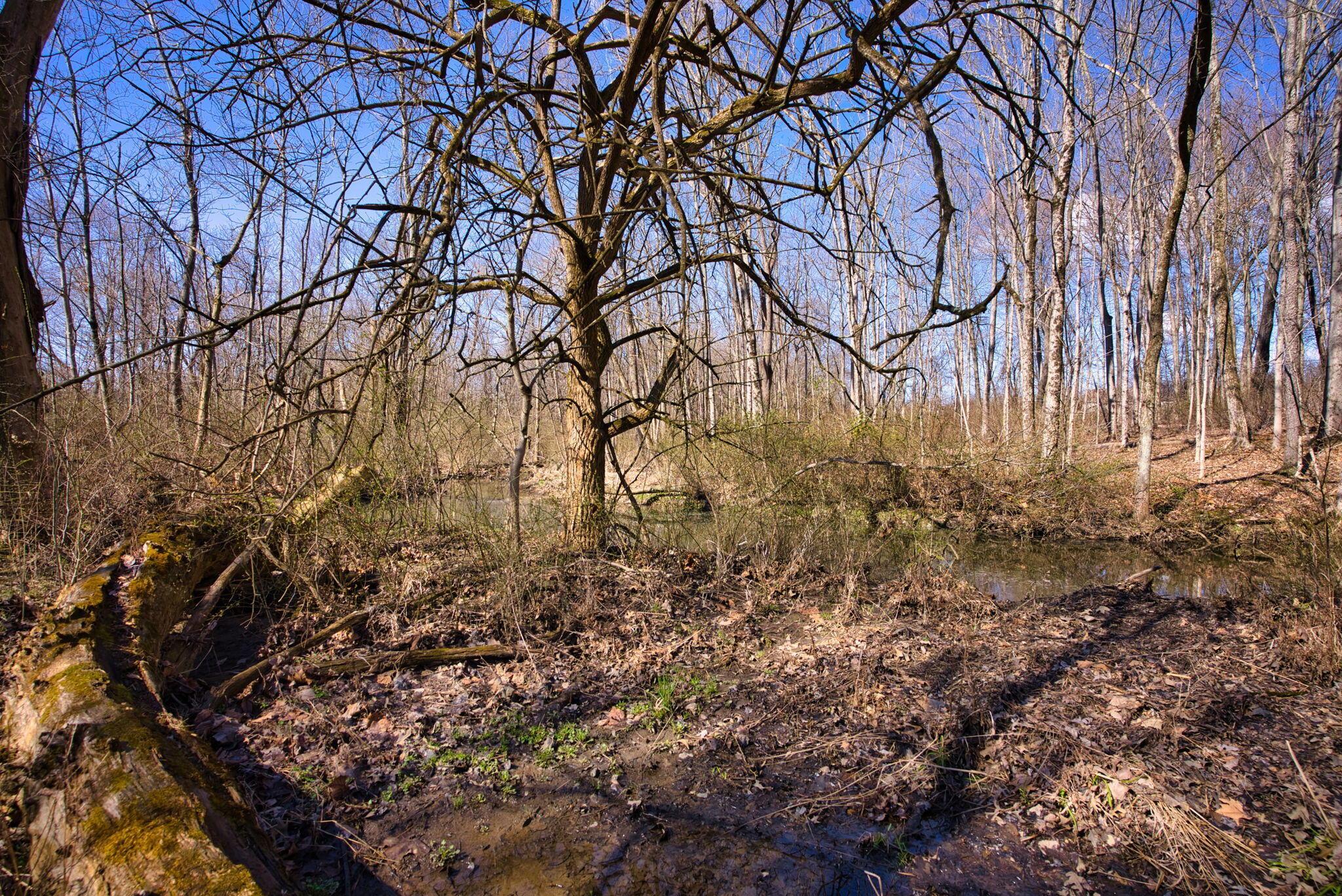 2952 Colts Neck Road, Blacklick, Ohio image 14