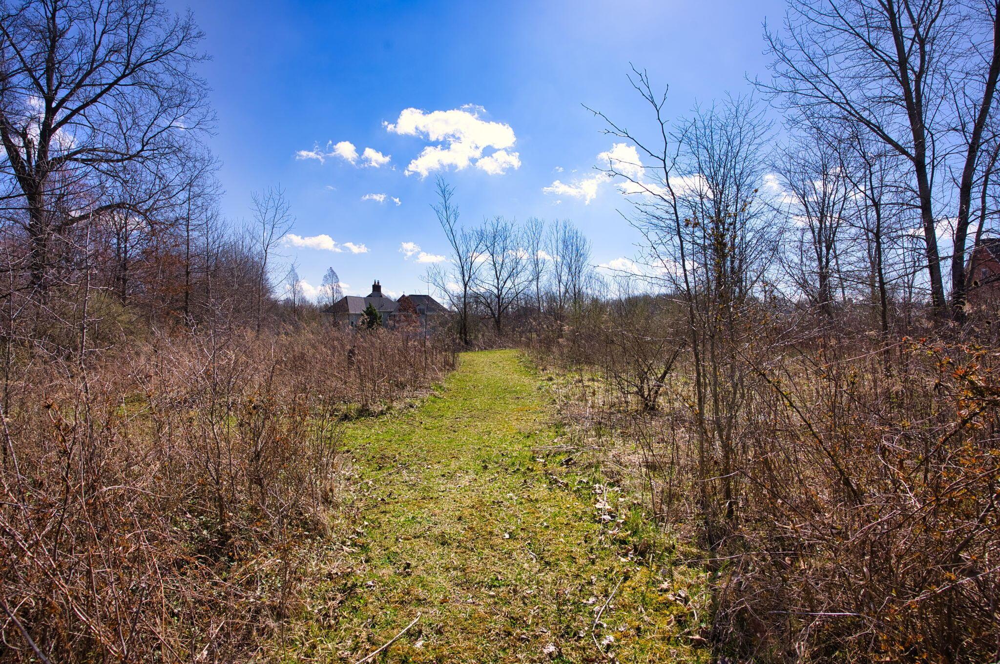 2952 Colts Neck Road, Blacklick, Ohio image 20