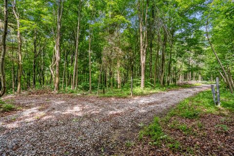 Photo of 0 Potts Hill Road, Bainbridge, OH 45612 (MLS # 226013106)