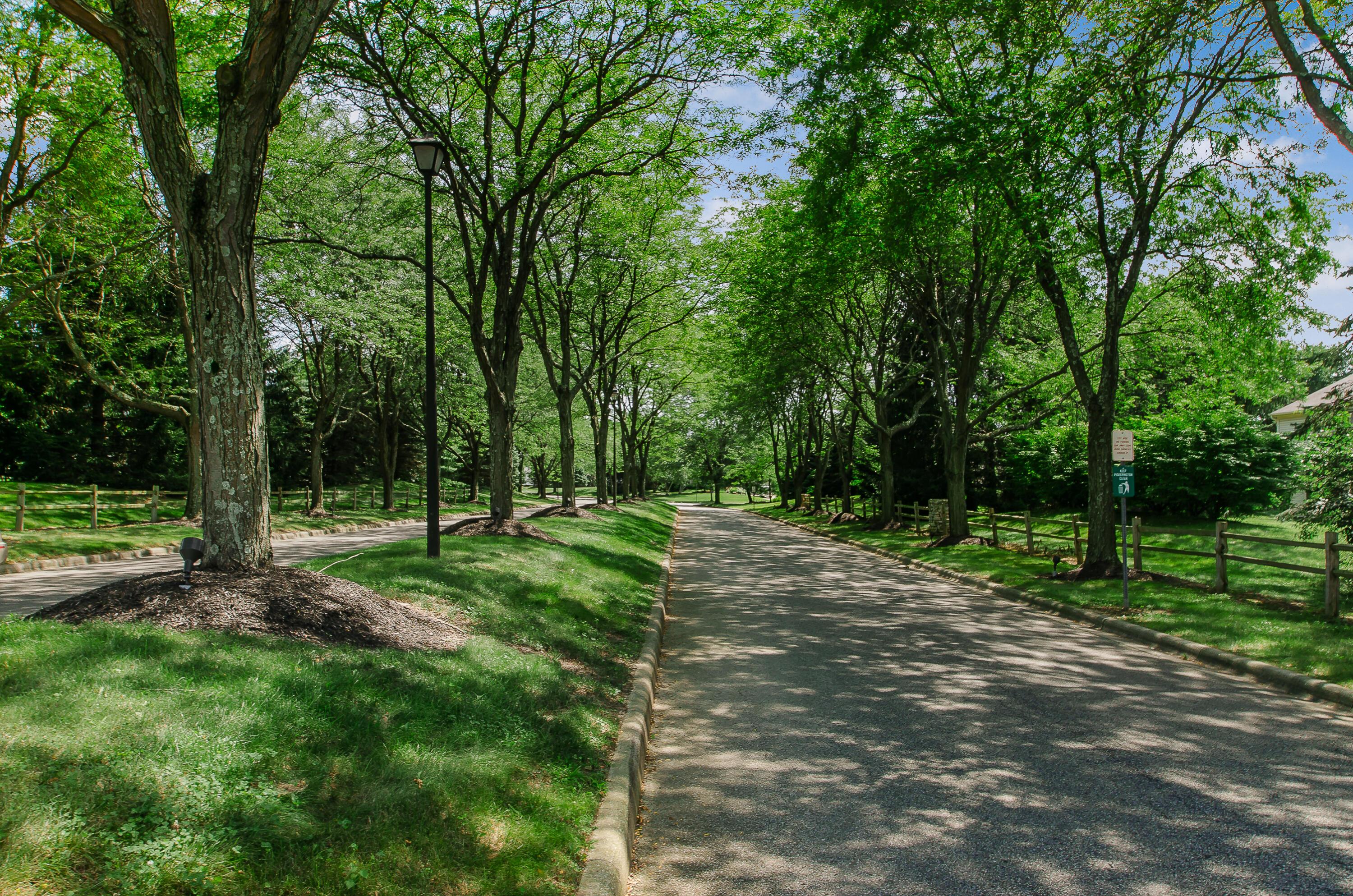934 Carron Court, Pickerington, Ohio image 42