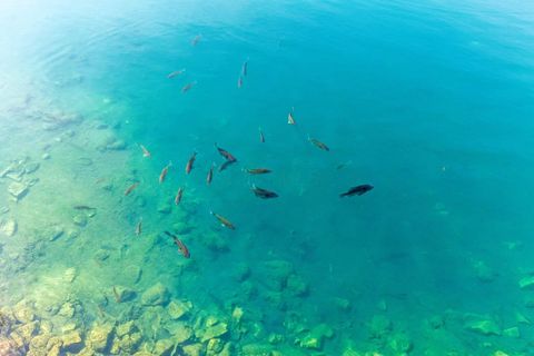 Tiny photo for 6247 State Route 61, Shelby, OH 44875 (MLS # 225024992)