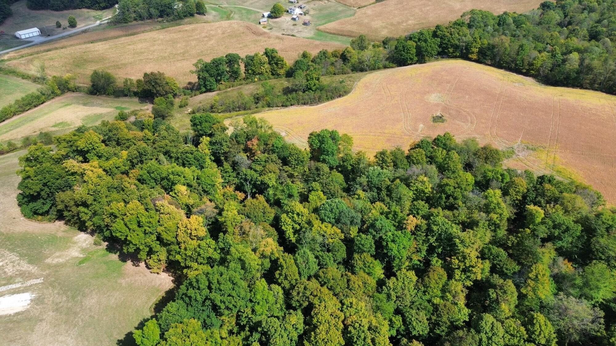 3385 Marietta Road, Junction City, Ohio image 11