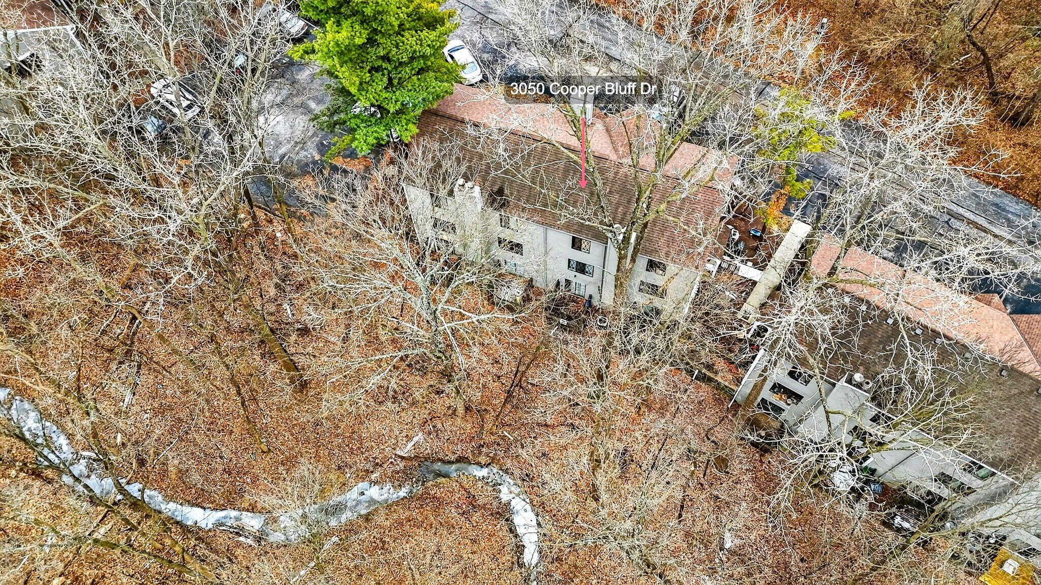 3050 Cooper Bluff Drive