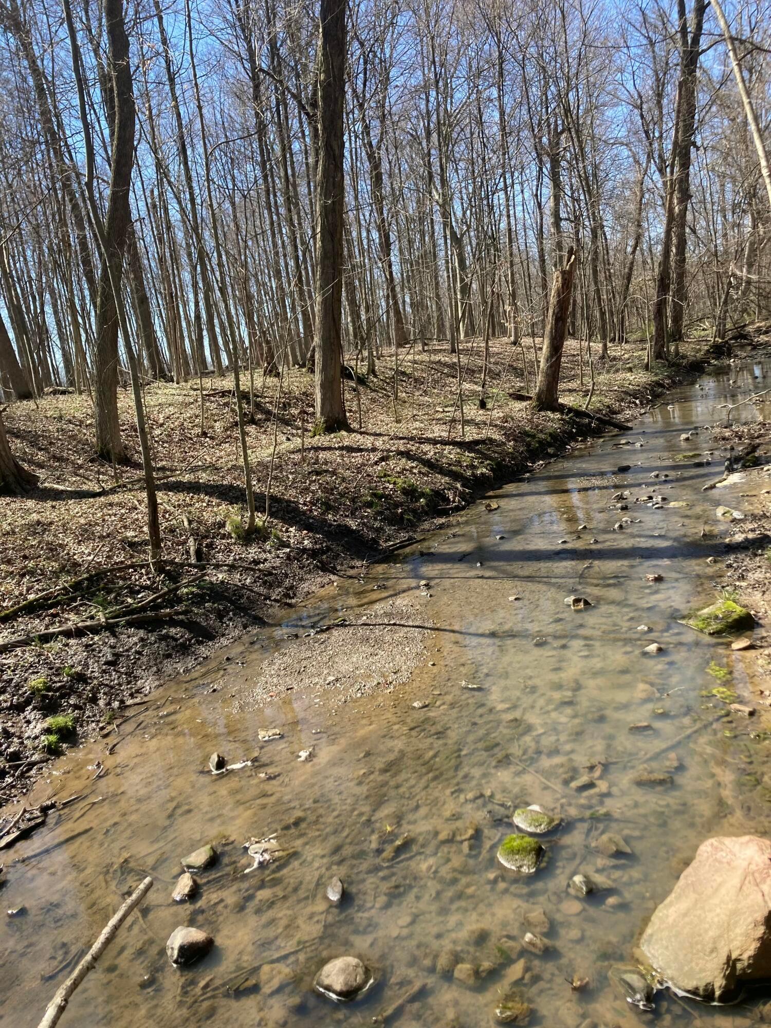 Hartford Road, Sunbury, Ohio image 8