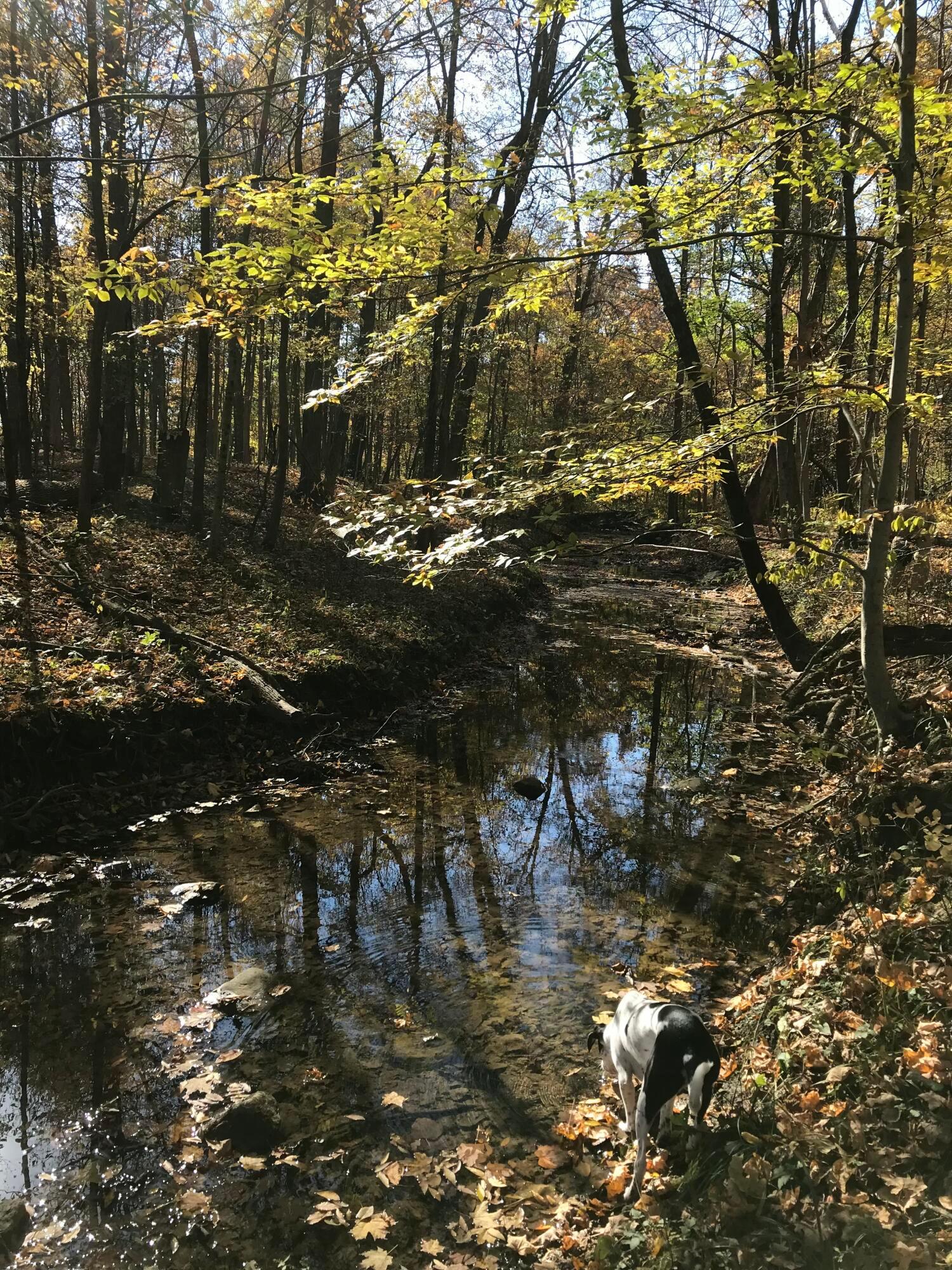Hartford Road, Sunbury, Ohio image 7