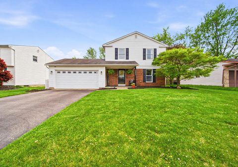 4093 Sassafras Court Grove City OH 43123