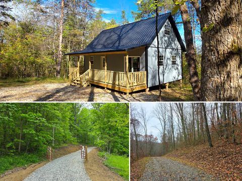 Photo of 32325 Red Hill Road (SeclusionCabin at Big Timber) #(SeclusionCabin at B, Vinton, OH 45686 (MLS # 225043880)