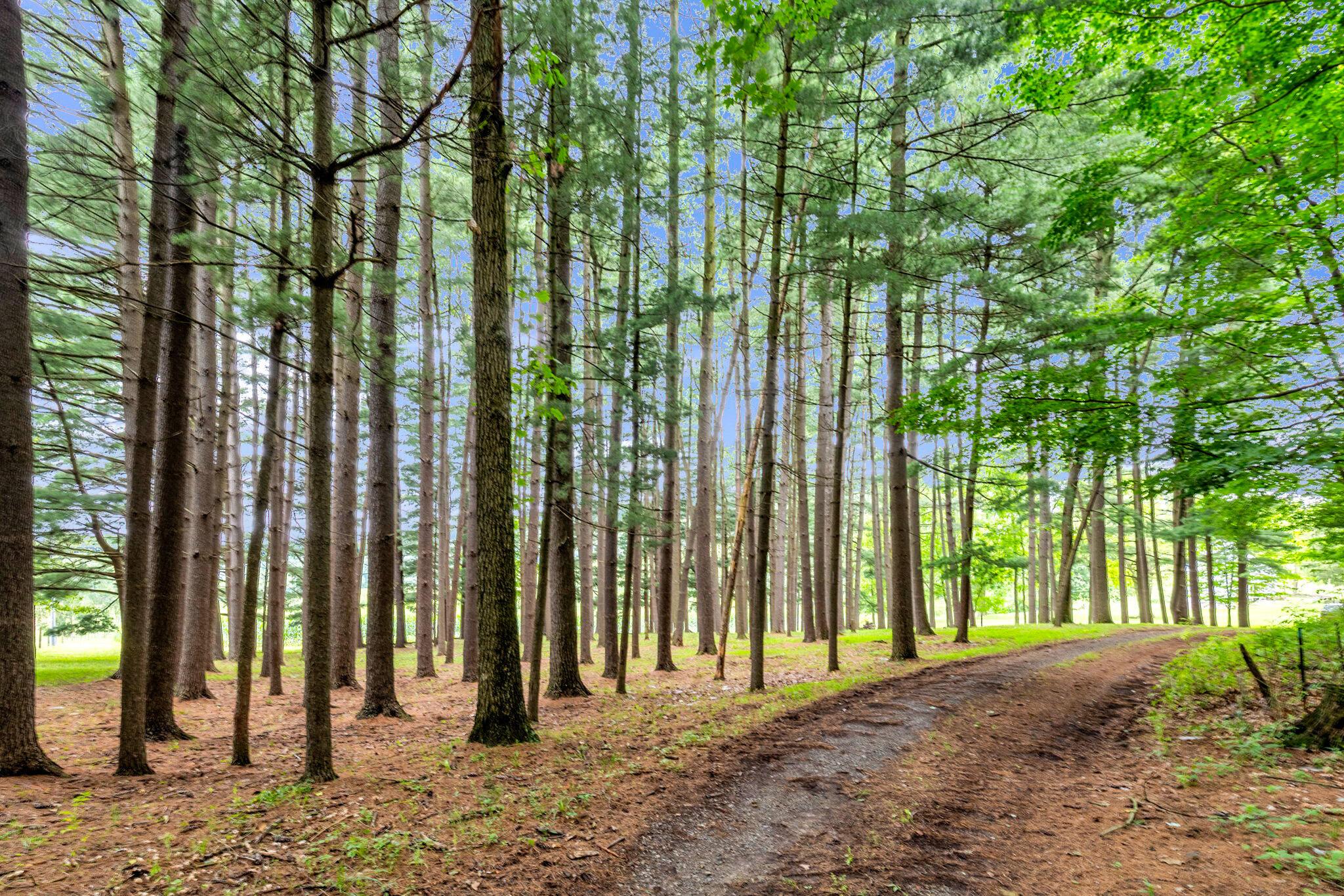 12627 Upper Gilchrist Road