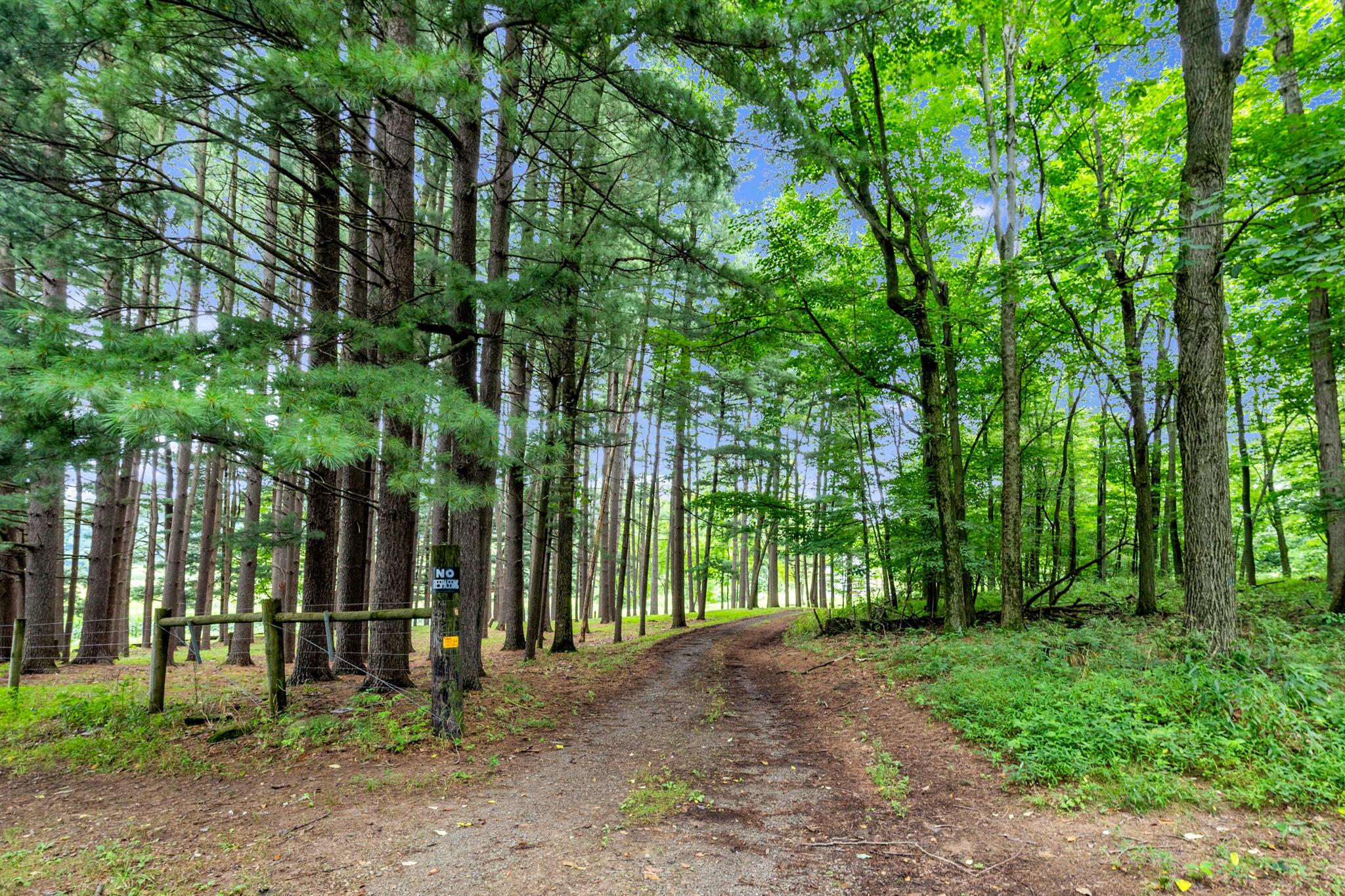 12627 Upper Gilchrist Road