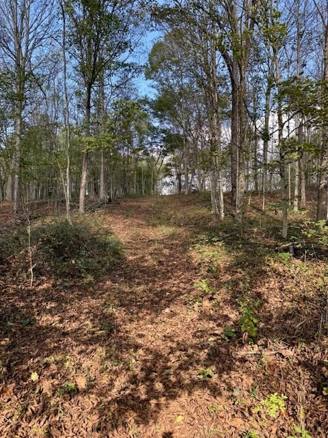 Photo of 0 Red Rock Road, Glouster, OH 45732 (MLS # 225038291)